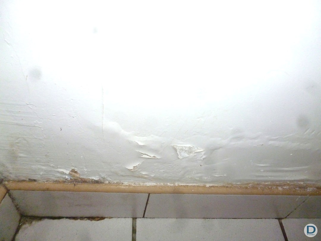 Humidité mur intérieur